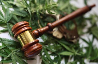 Eastern Band of Cherokee Indians (EBCI) voted in favor to legalize medical and recreational cannabis for adults