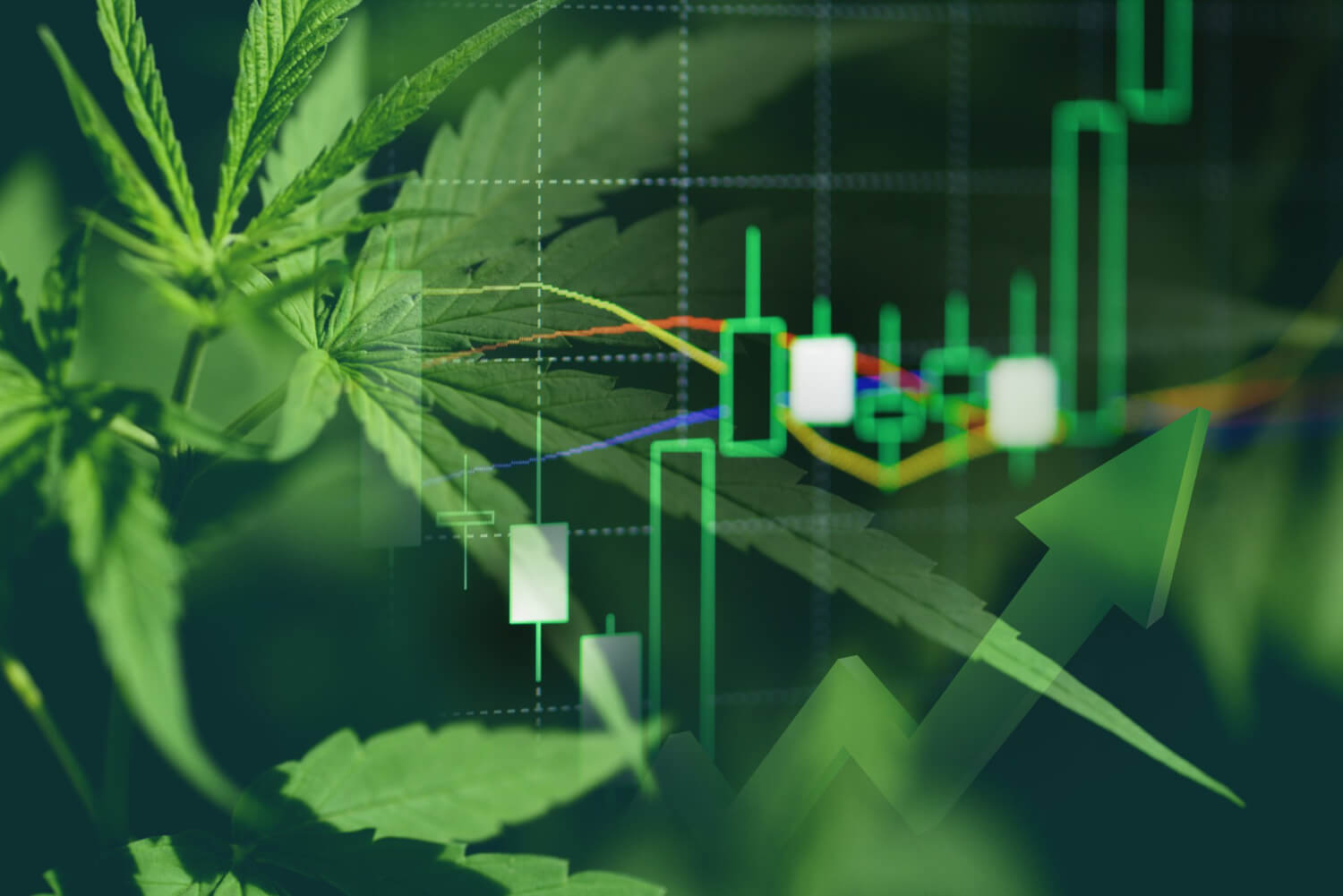 Leafly Holdings has recently consolidated its shares to maintain its Nasdaq listing