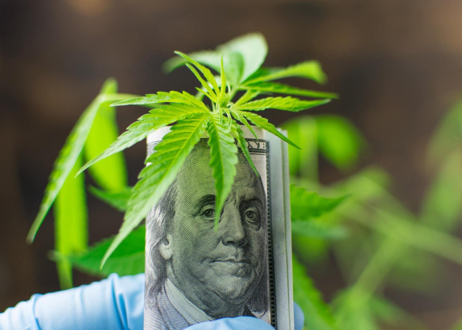 Massachusetts Cannabis Sales Hit The $5 Billion Mark