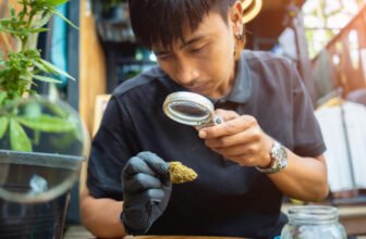 What is Delta 9 THC Understanding Tetrahydrocannabinol and Differences With CBD