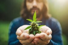 cbg benefits what is it good for