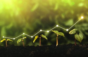 Canada's cannabis sales increase