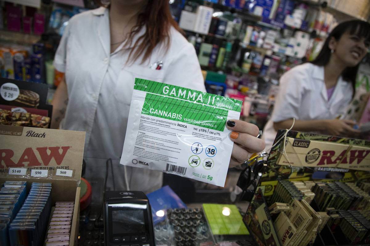 Cannabis Gamma is available for sale in Uruguayan pharmacies