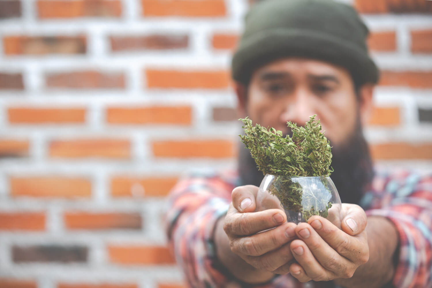 Congressional Democrats reintroduced the Marijuana Opportunity Reinvestment and Expungement (MORE) Act