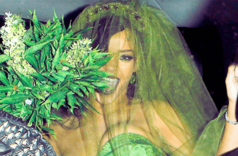 Rihanna Halloween Costumes Weed Fairy