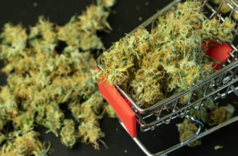 Wholesale cannabis prices shift among regulatory chances and harvest