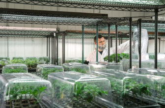 Green Thumb Industries