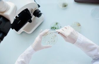 Maine requires more testing for medical cannabis