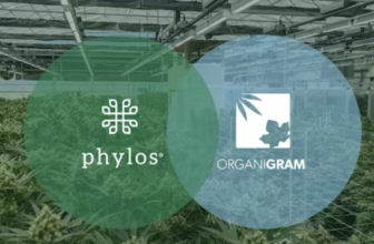 Phylos Organigram