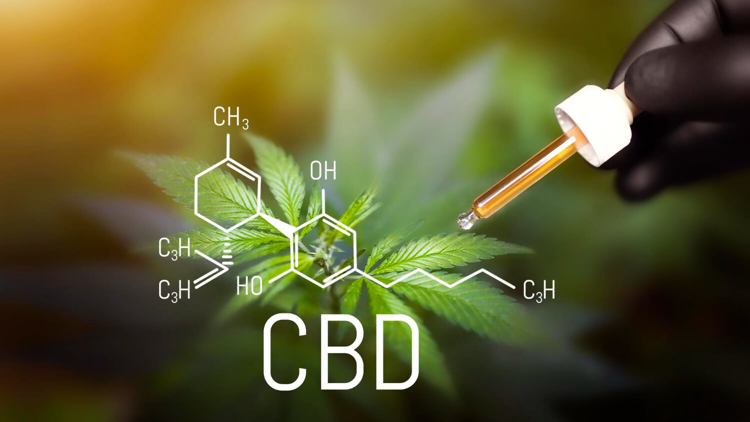 UK takes a stand to regulate the CBD market