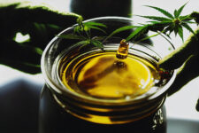 best cbd oil brands