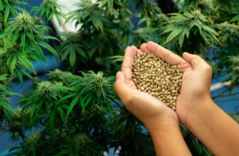 hemp seeds benefits