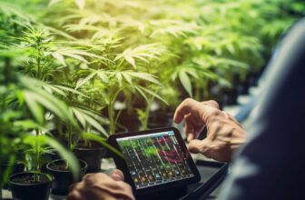 why invest in cannabis stocks