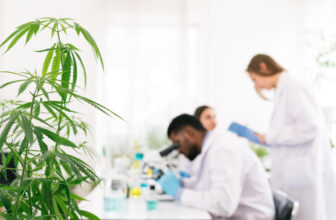 Researcher elaborated a Cannabis Periodic Table