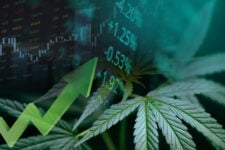 best cannabis crypto