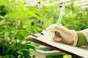 California's Cannabis Industry Adapts to New DCC Guidelines