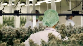 Cannabis Industry’s Banking Challenge
