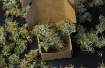 Colorado celebrates 10 years of legal cannabis