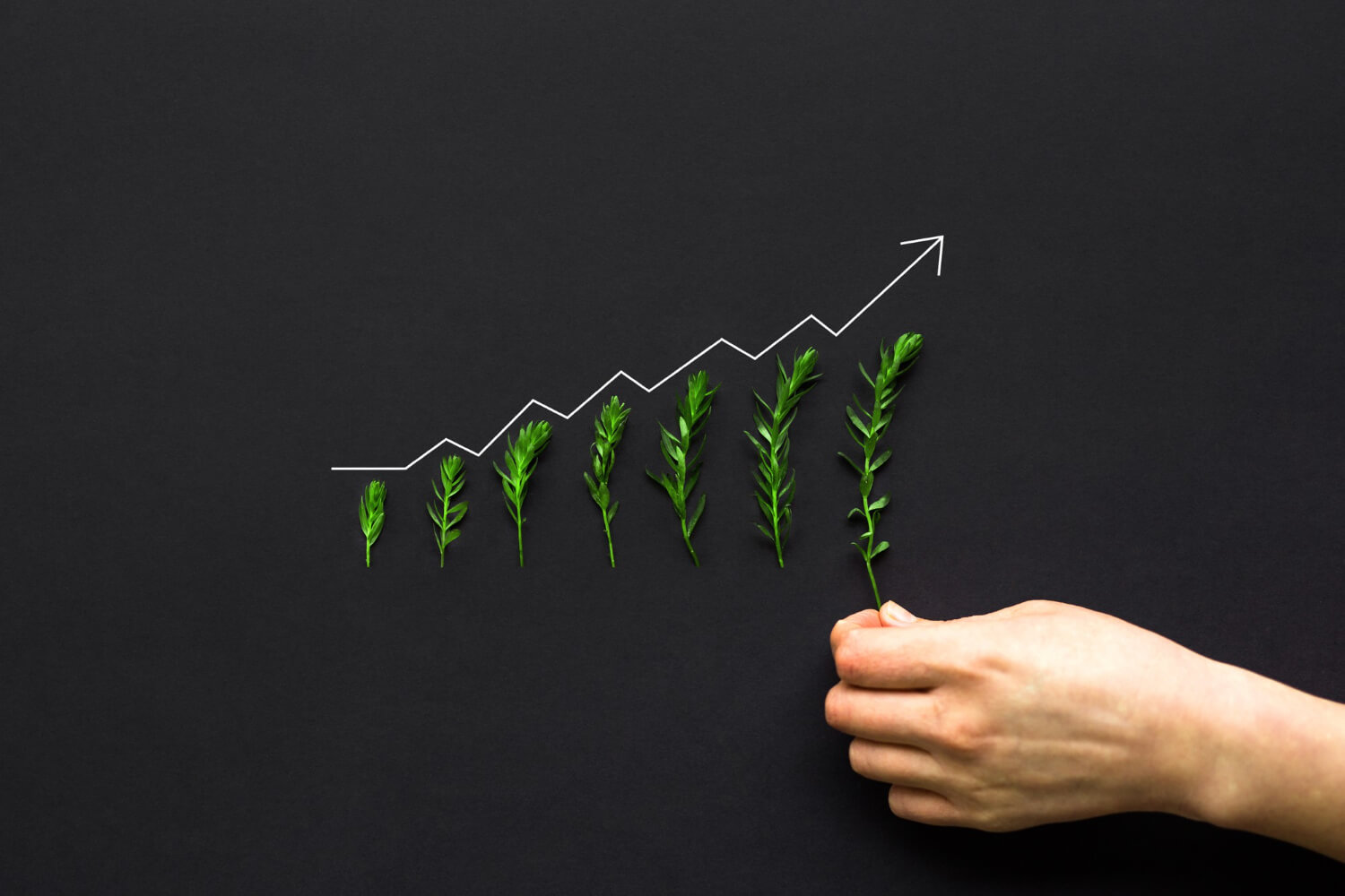 Green Thumb Industries stock increase