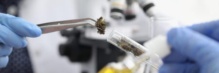 hhc-vs-thc