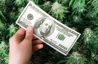 Aurora Cannabis Shares
