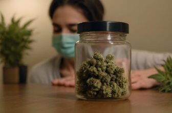 Alert DCC Issues Urgent Recall of UPNORTH Maui-Wowie Cannabis Flower Due to Contamination