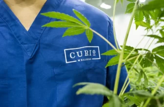 Curio Wellness