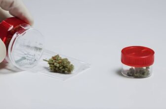 Urgent Recall Issued for Contaminated Passiflora Premium Flower Black Mamba OG by DCC