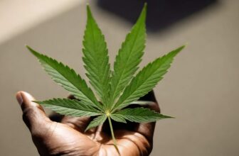 Minnesota Accelerates Clearing 60,000 Cannabis Records