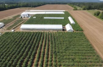 Rubicon Organics Posts CA$1.1 Million Loss in 2023 Despite Rising Revenues