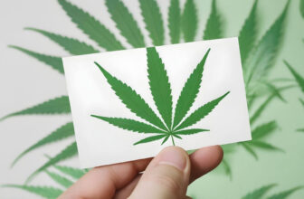 Ruling Paves Way for November Vote on Legalizing Recreational Cannabis in Florida