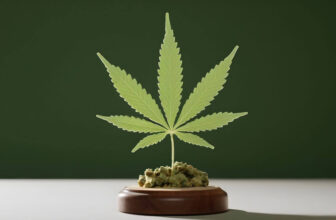 U.S. Marijuana Legalization Has Been A Success