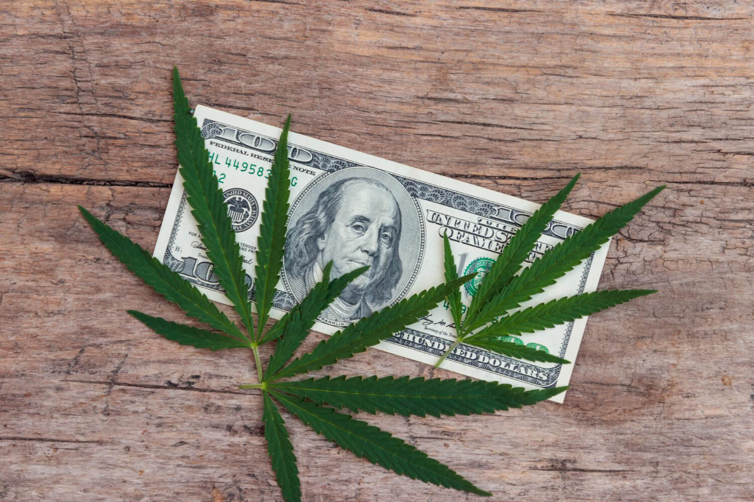 Cannabis Stocks Surge Amid Regulatory Optimism and Market Expansion