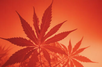 France Implements Ban on H4CBD and H2CBD on June 3rd