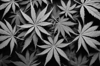 Mold Outbreak Leads to $200,000 Fine for Holistic Industries