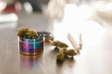 Legal Highs Wie sich der Cannabismarkt in Deutschland verändert