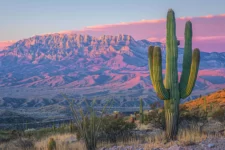 Is weed legal in Arizona