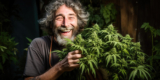 The 6 Stages of Cannabis Growth: From Seed to Harvest