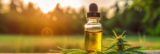 Is CBD Oil Safe to Use? What You Need to Know