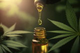 What is the Best CBD Oil Dosage You Should Take?