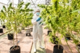 Aurora Cannabis Inks a C$33.7M Deal with Canaccord Genuity, Eyeing Debt Repayment and Calculated Acquisition