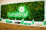 Curaleaf Holdings Inc.: Leading with Impressive Ratings