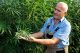 Hemp Cultivation in the U.S.: Navigating Inconsistent Regulations