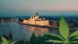 Ist Cannabis in Ungarn legal?