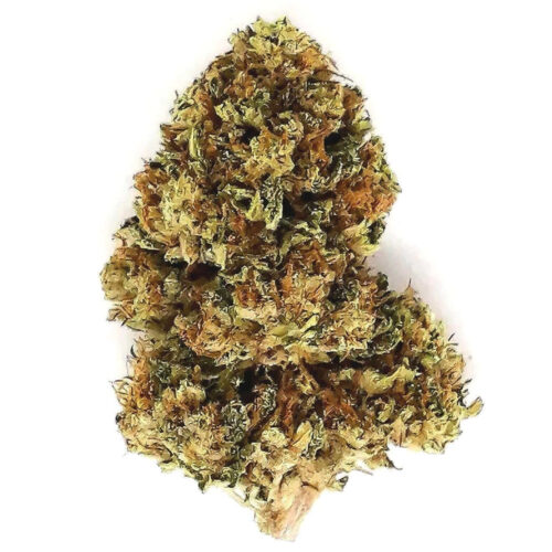 Lavender CBG Flower-Dreamland