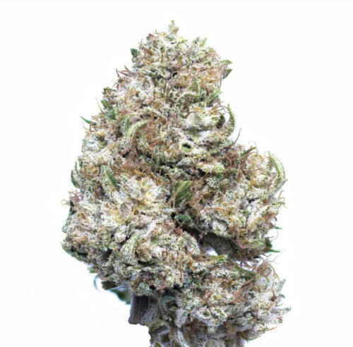 Madras CBG Flower- Secret Nature