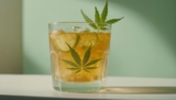 Minnesota Green Lights Low-THC Beverages