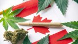 NORML Canada Champions Higher THC Limits for Edibles to Level the Playing Field