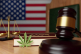 Licensing Limbo: Lawsuits and Delays Rock New York’s Cannabis Market