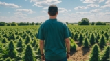 Ohio Targets July Launch for Midwest’s Recreational Marijuana